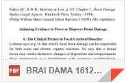 BRAI DAMA 161297 W P127 PDF
